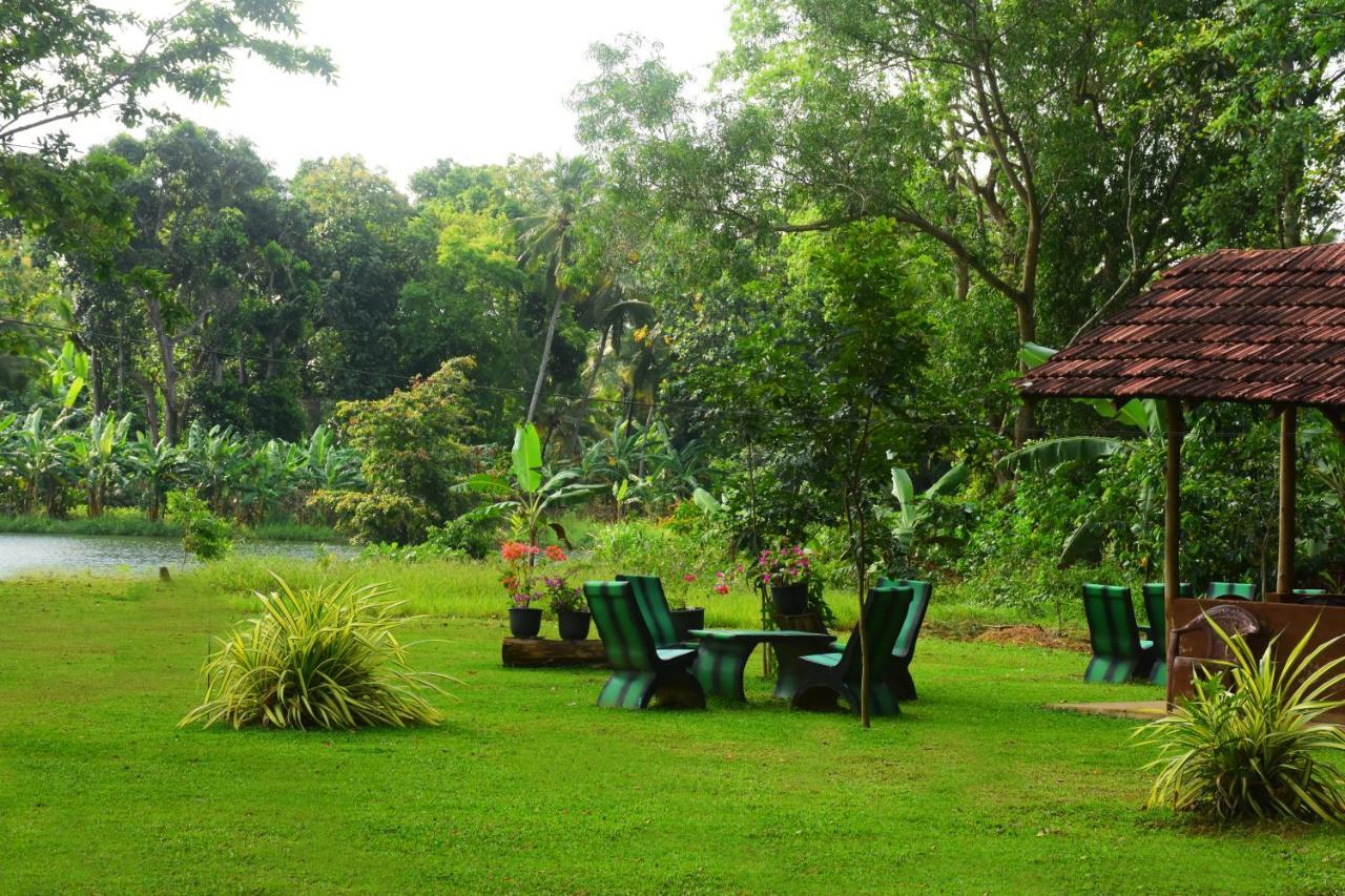 Canal Side Safari Resort Udawalawe Esterno foto