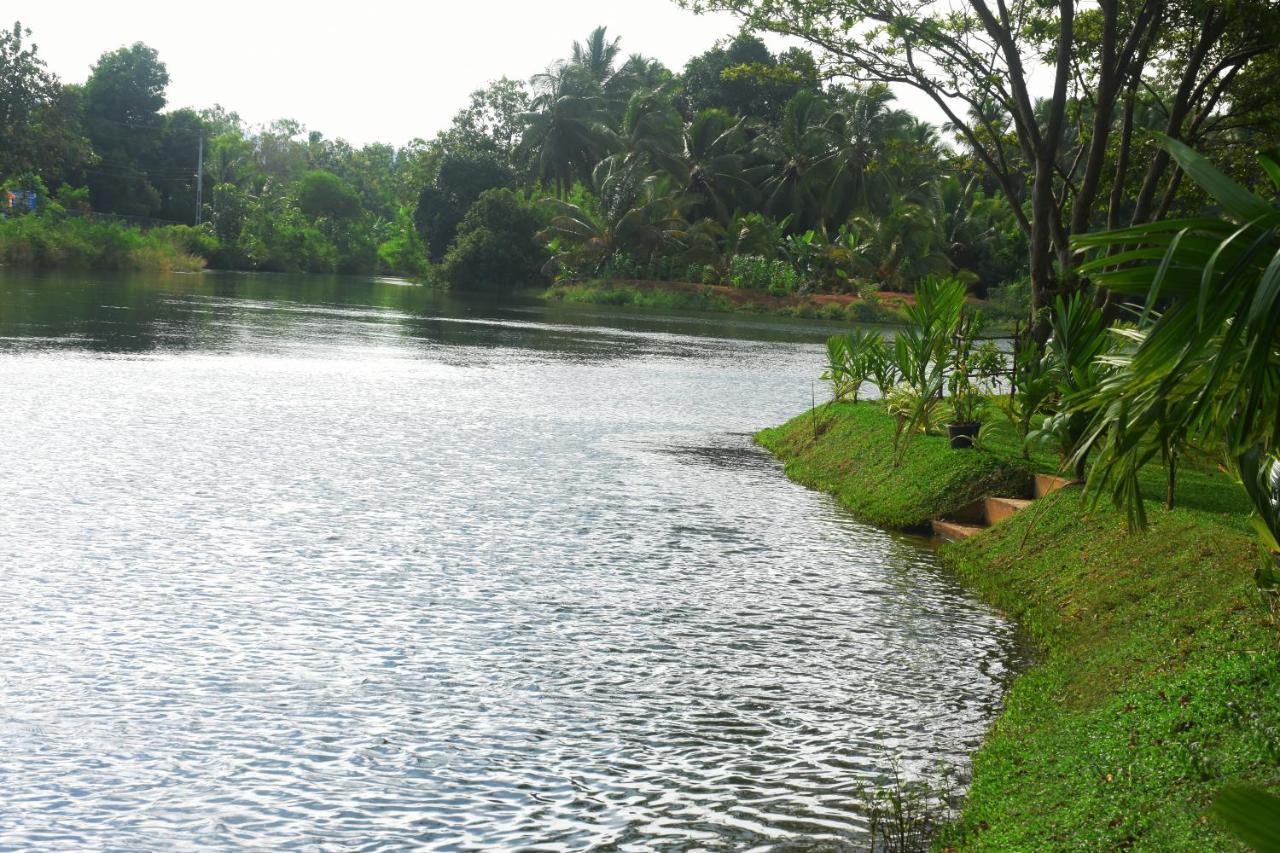 Canal Side Safari Resort Udawalawe Esterno foto