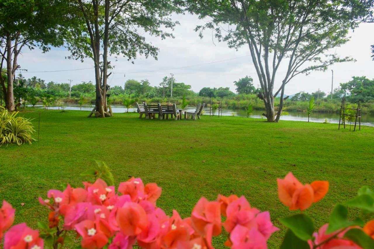 Canal Side Safari Resort Udawalawe Esterno foto