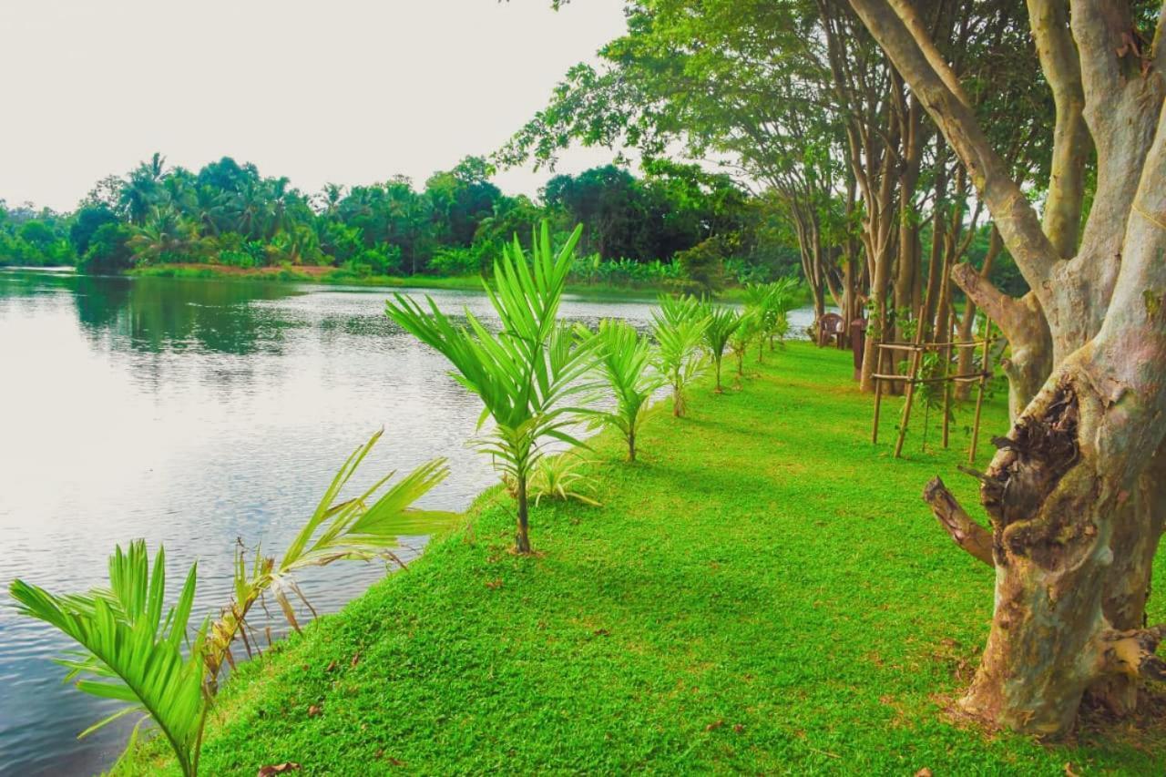 Canal Side Safari Resort Udawalawe Esterno foto